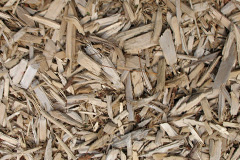 biomass boilers Tylwch